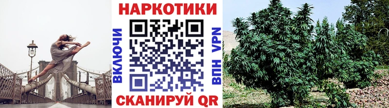 Купить наркотики цена Лахденпохья Бошки Шишки Амфетамин МЕГА как войти Мефедрон