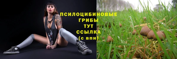 шишки Алексин