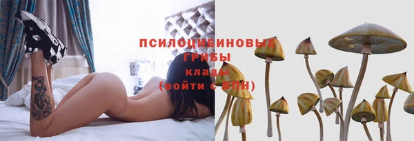 мескалин Аркадак