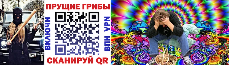 Псилоцибиновые грибы ЛСД  хочу   Лахденпохья 